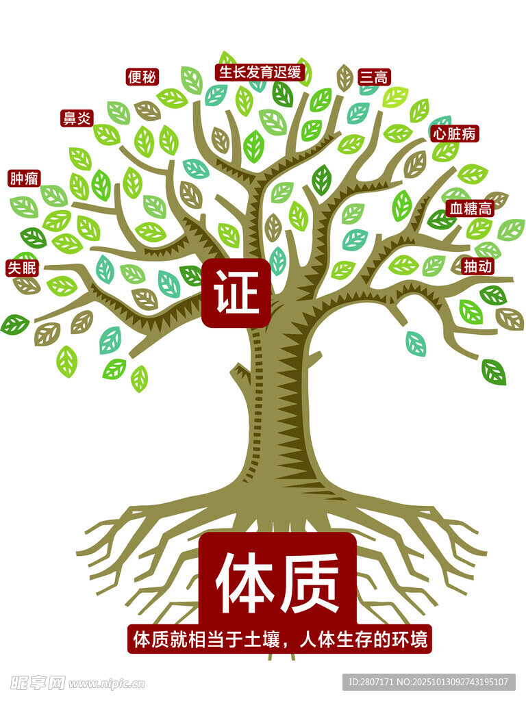 体质认证树状图展示