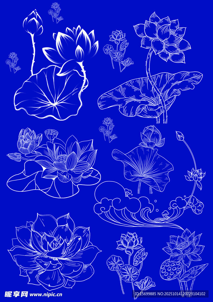 荷花线稿图