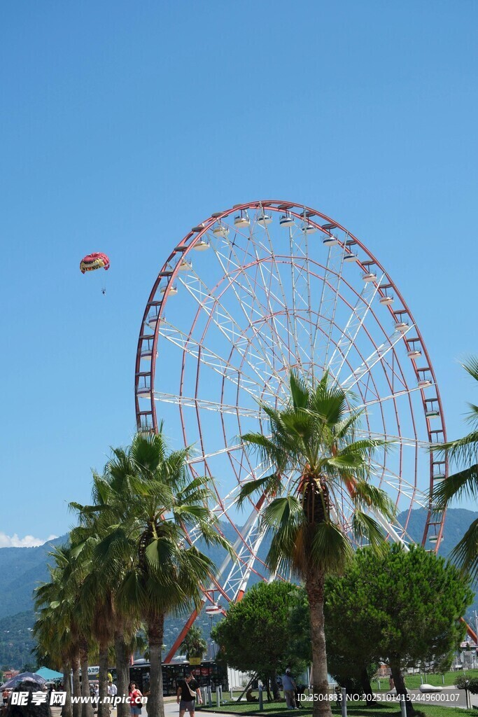 海边摩天轮与棕榈树景观