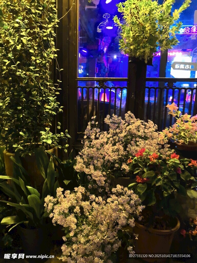 室内花卉绿植景观展示