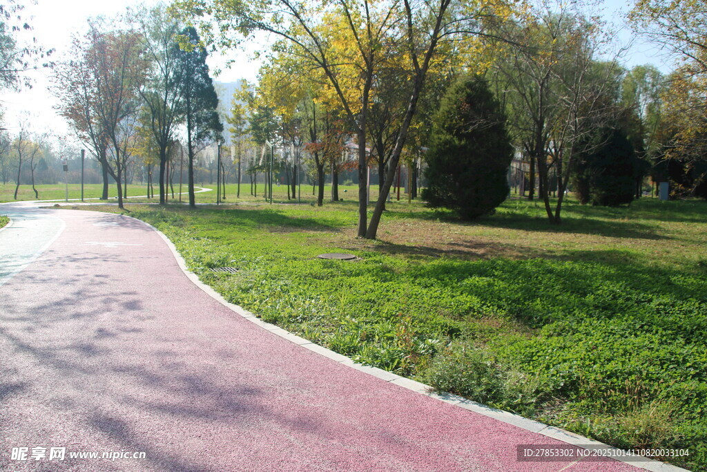 秋日公园的红色步道