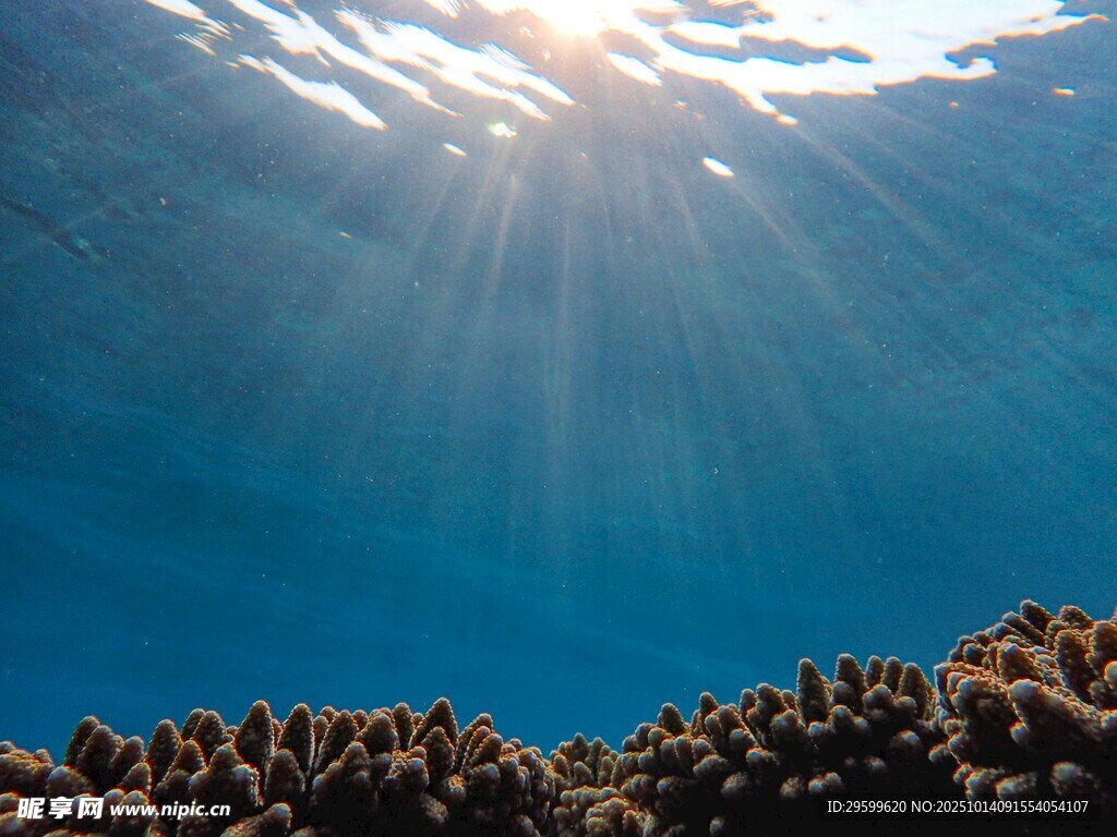 海底阳光照耀的珊瑚景观