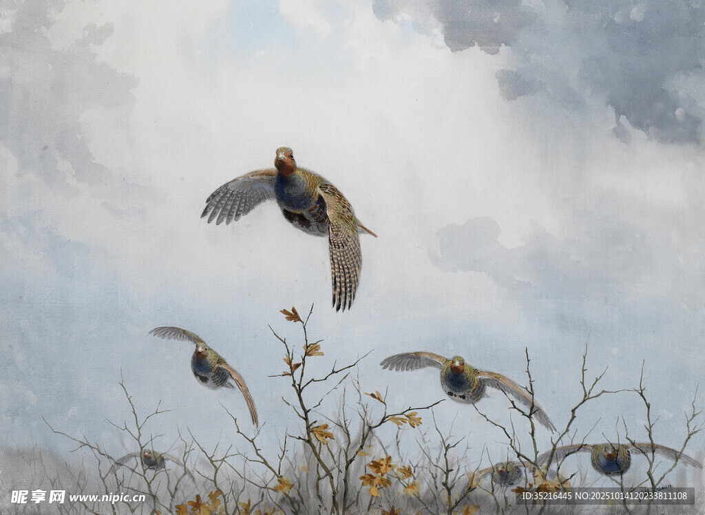 飞鸟于花丛上空展翅翱翔