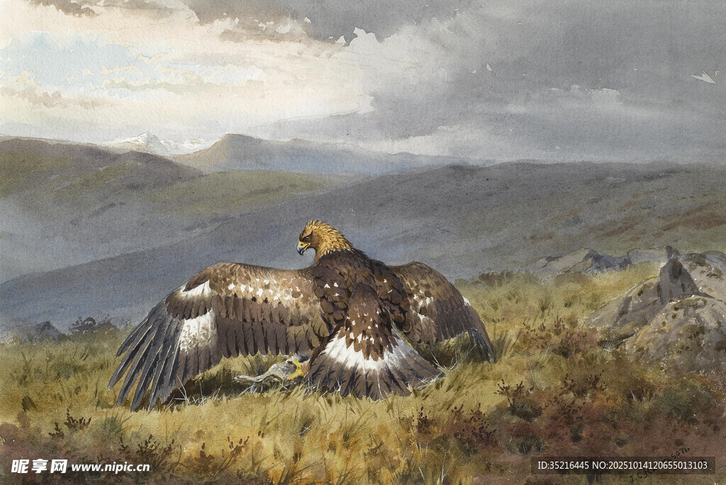 人与雄鹰于旷野的画面