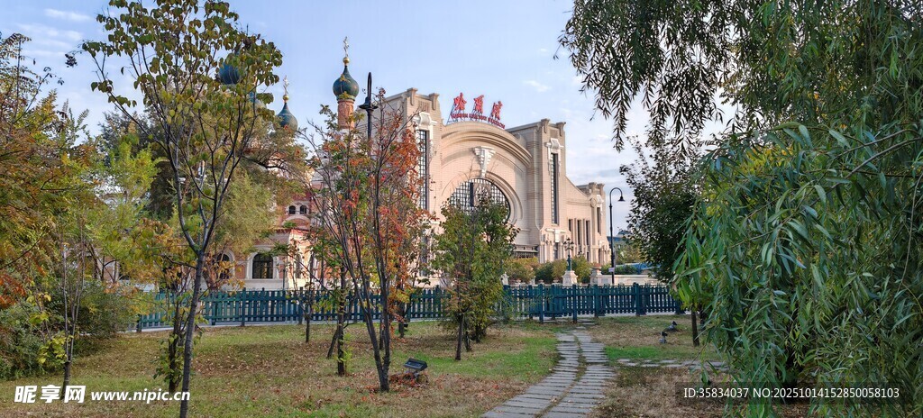 公园中的树木与远处建筑