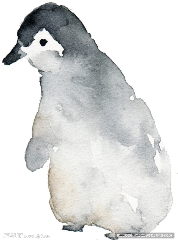 水彩画小企鹅