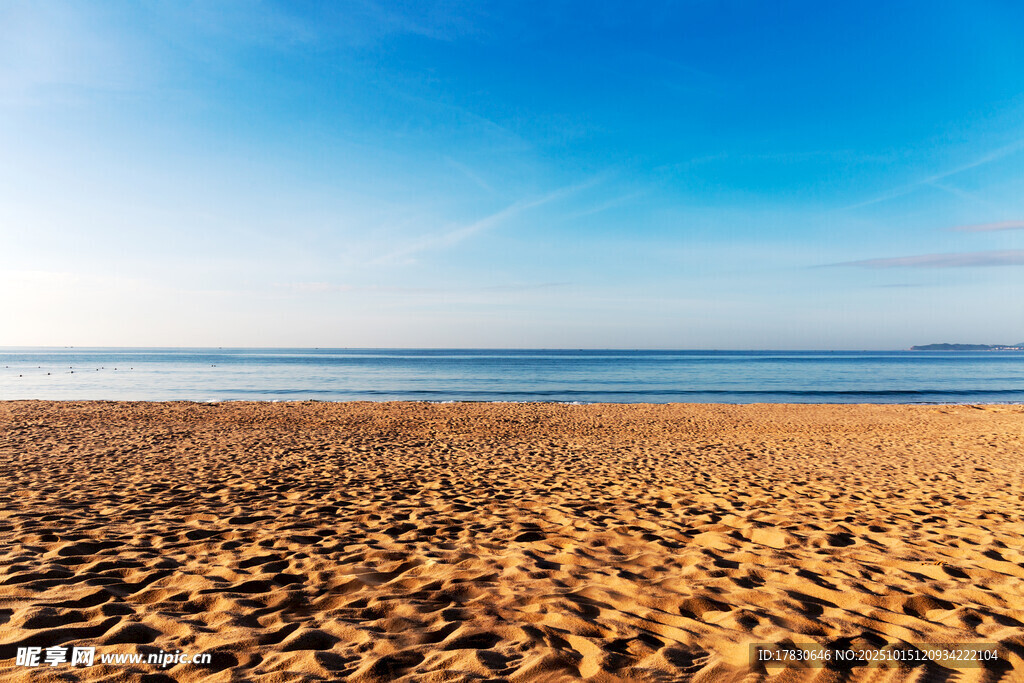 金色沙滩与蔚蓝大海