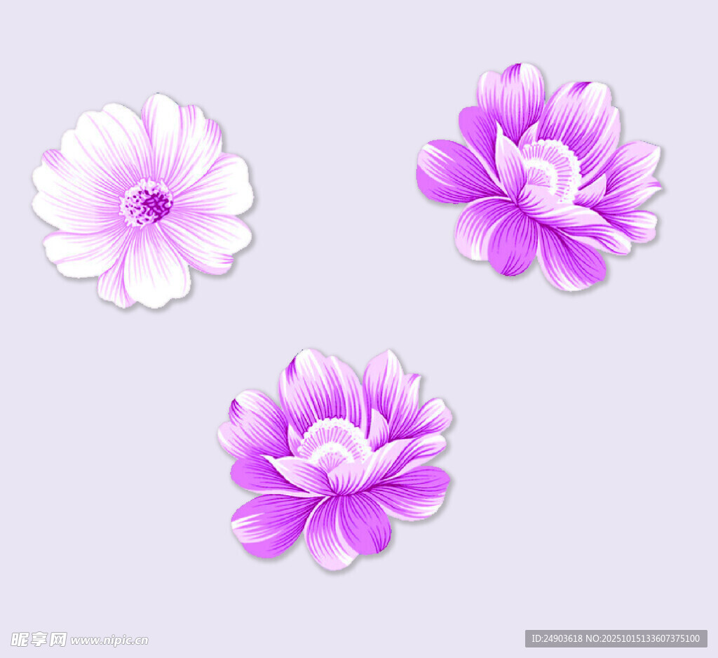 三朵紫色花卉图案