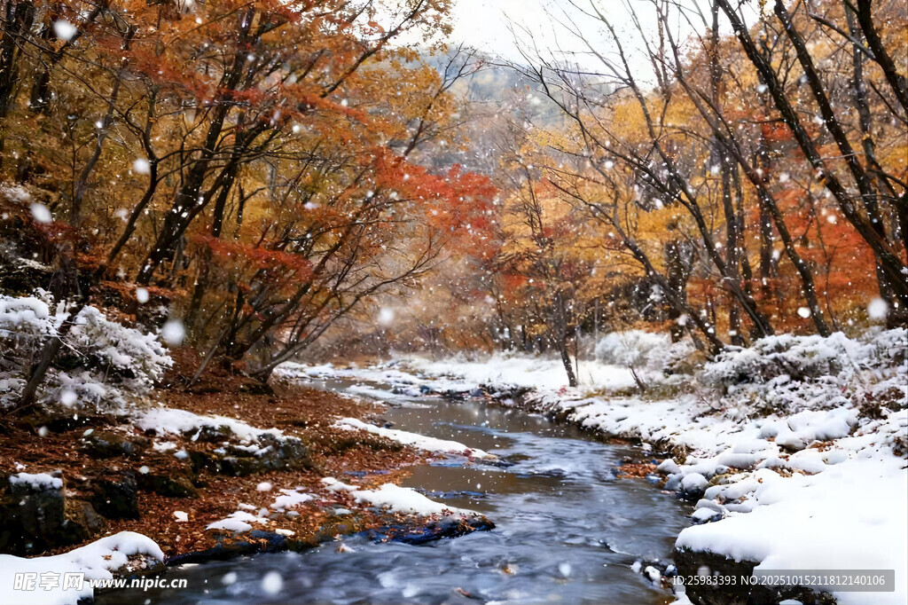 溪流秋林