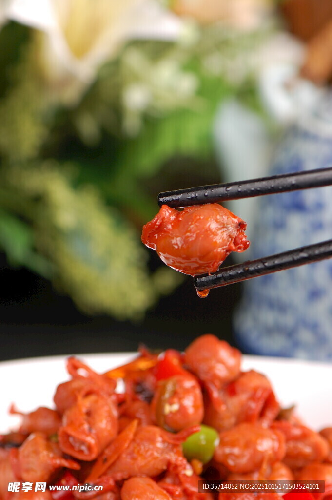 筷子夹起美味红烧肉块