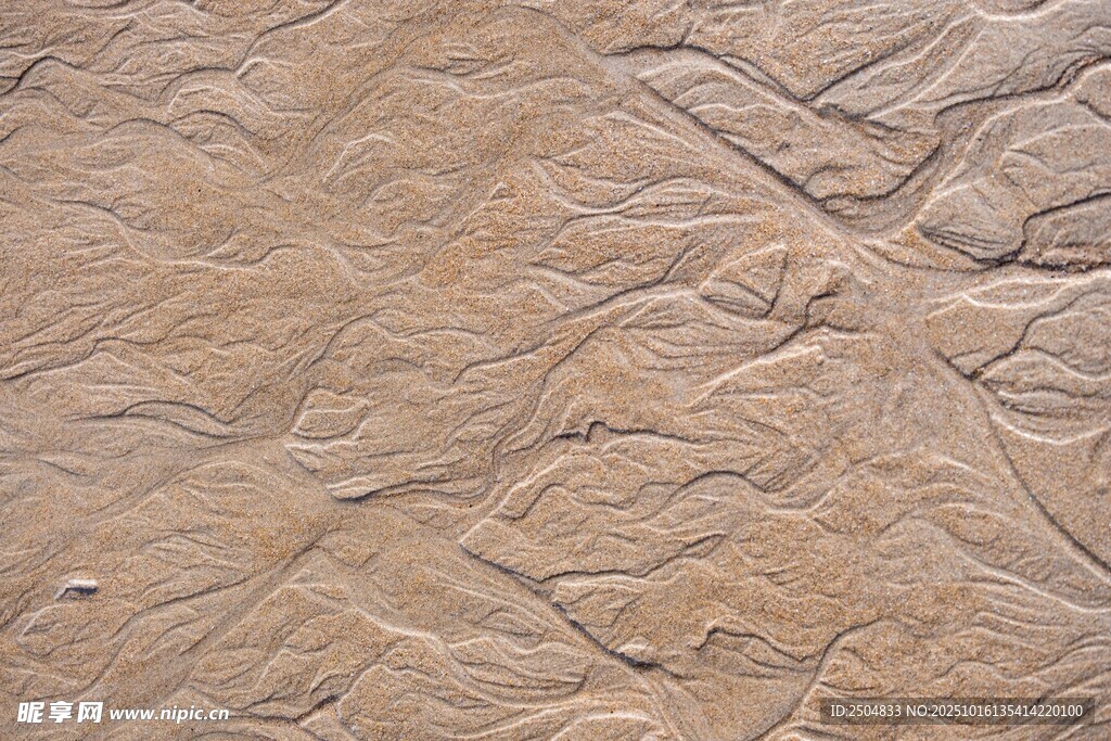 粗糙纹理的米色石质表面