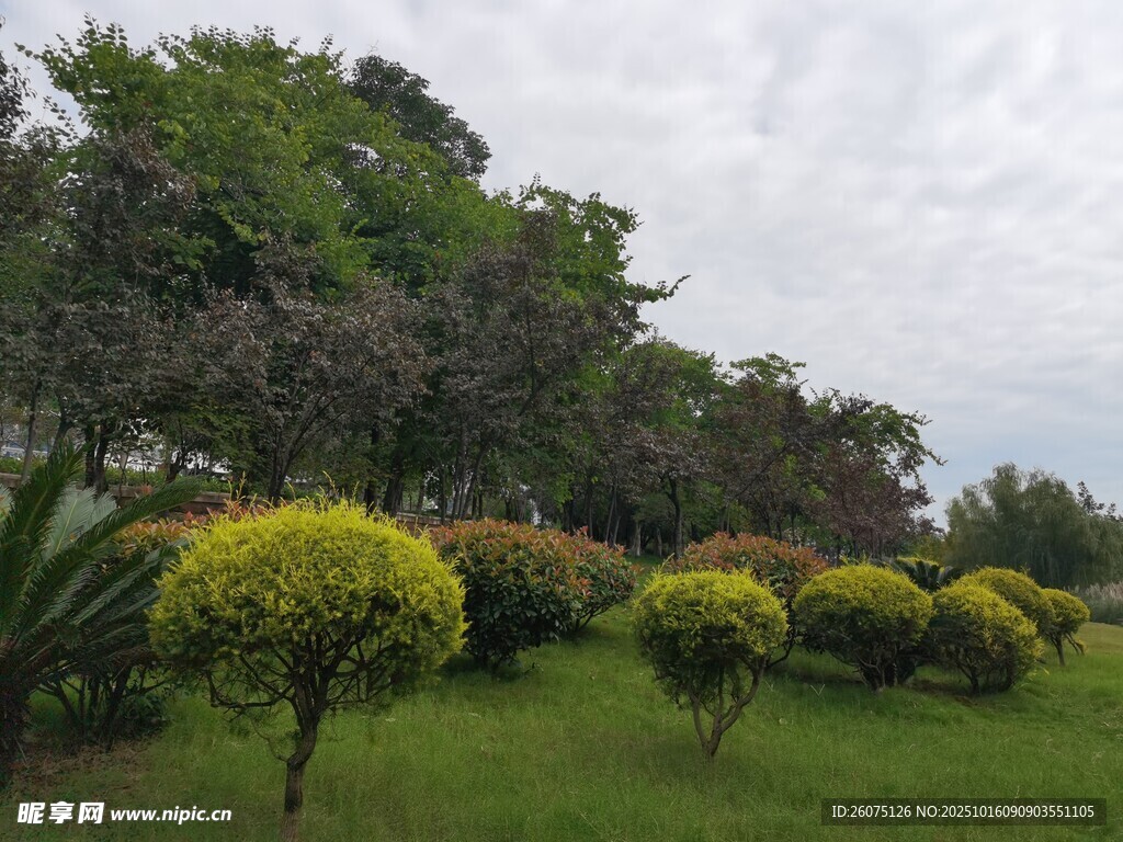 绿意盎然的园林景观