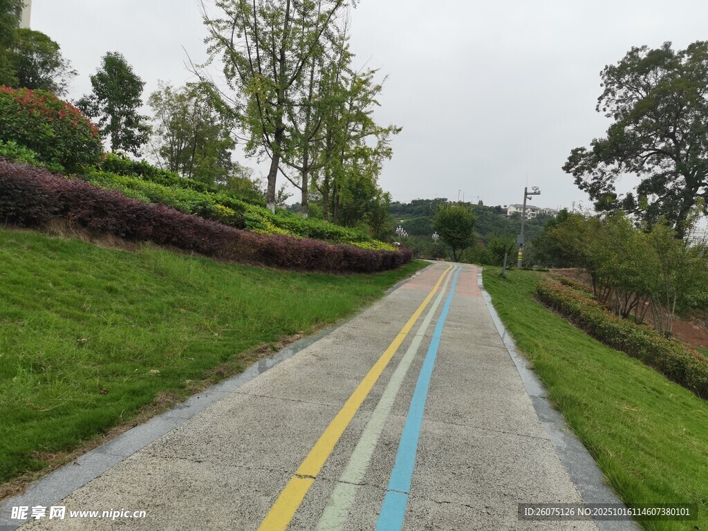乡村彩色沥青小路风景