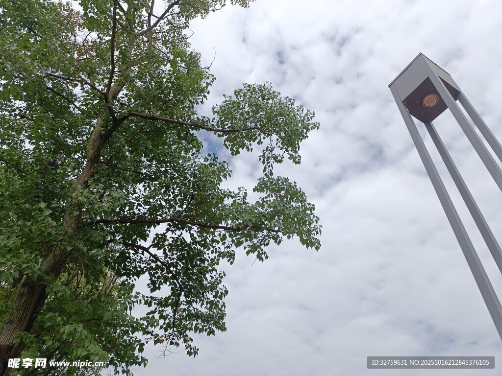 绿树旁的高耸金属结构