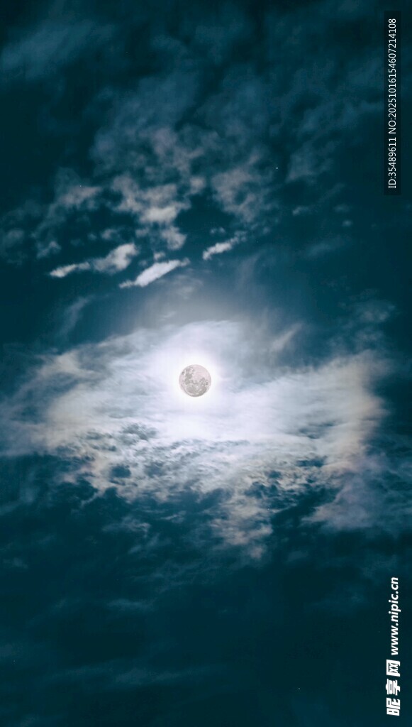 夜空中的明亮月亮