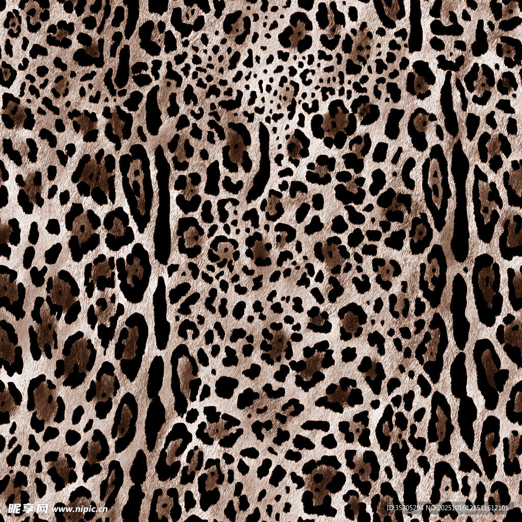 豹纹图案纹理背景