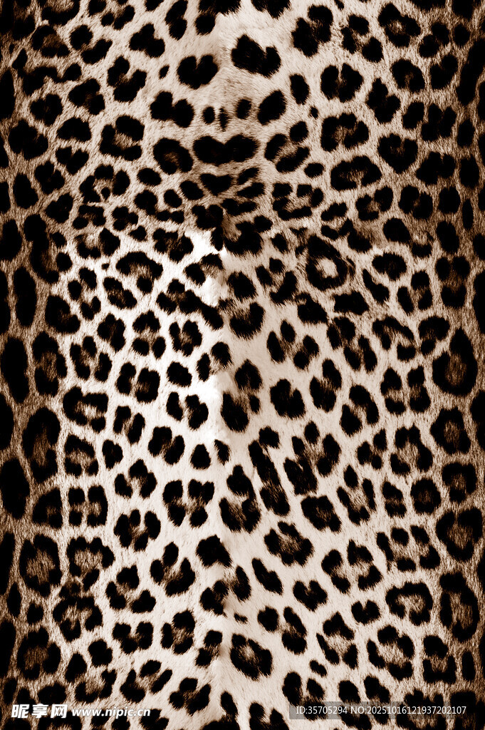 豹纹图案纹理背景