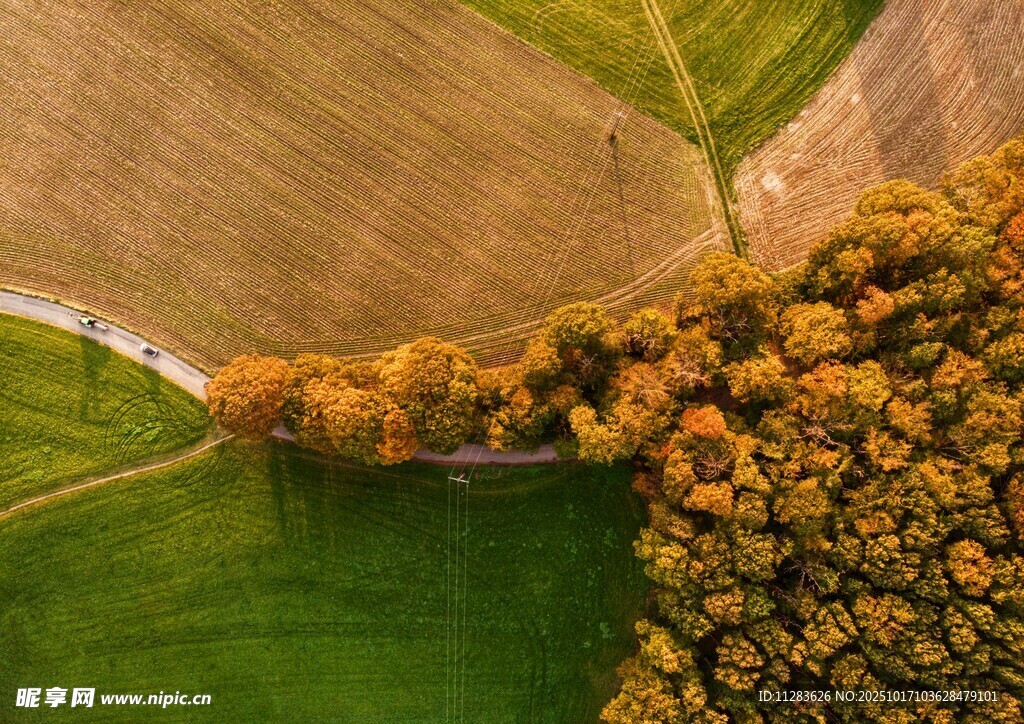 秋日田野树林航拍美景
