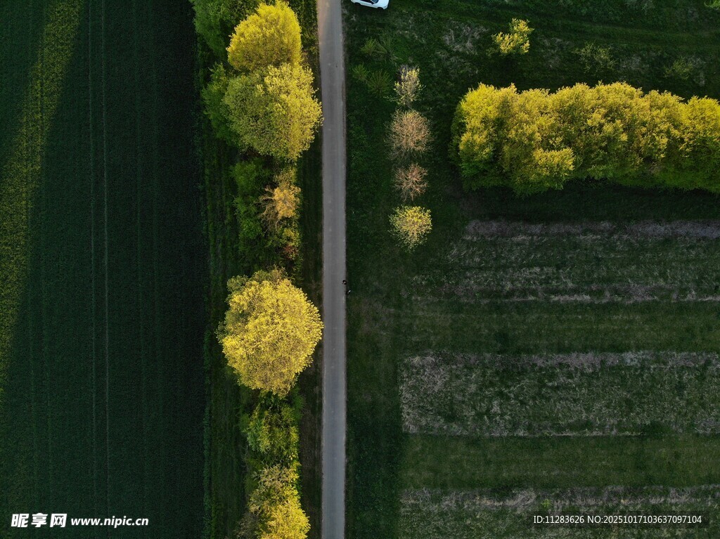空中俯瞰黄绿相间田园景