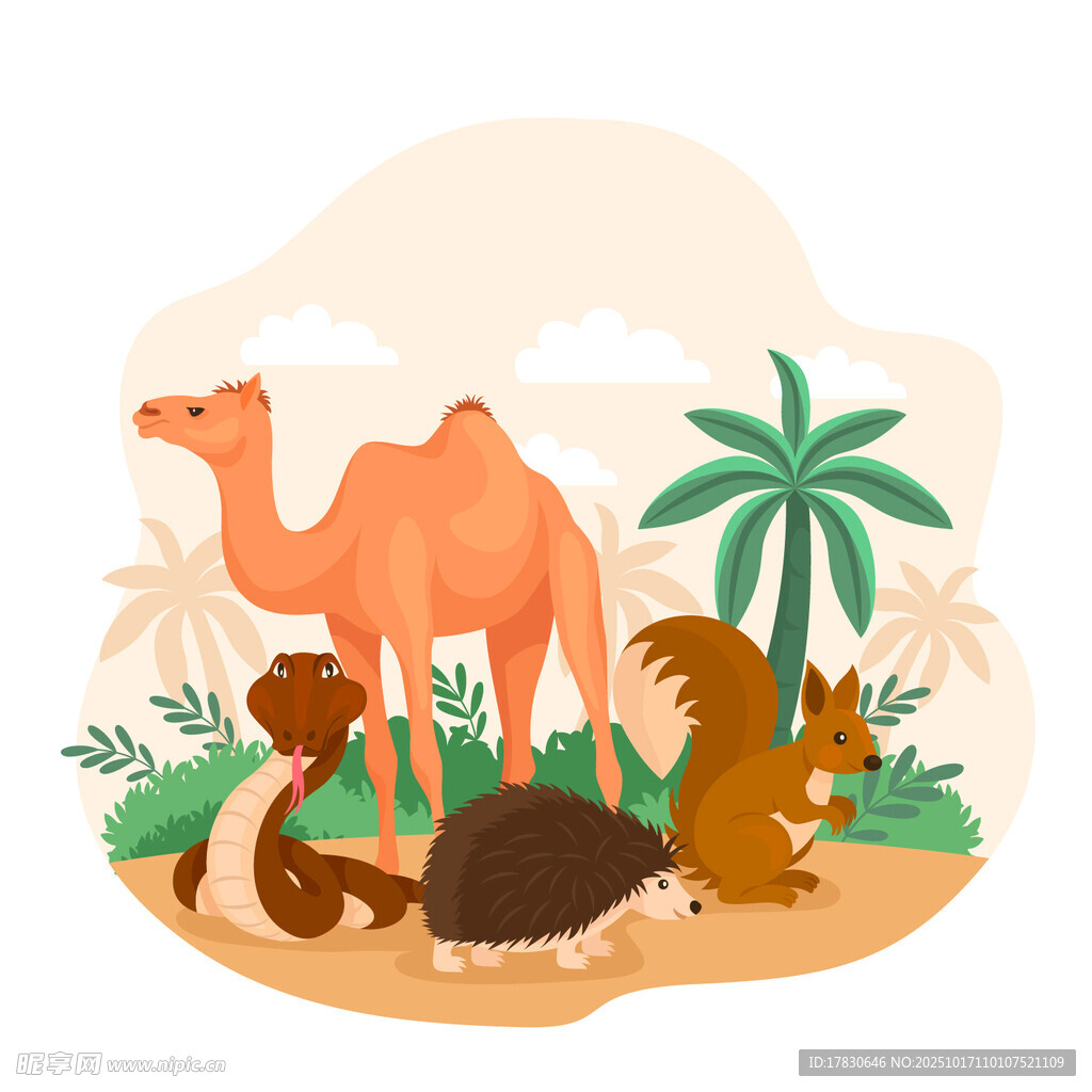 沙漠中的多样动物景象