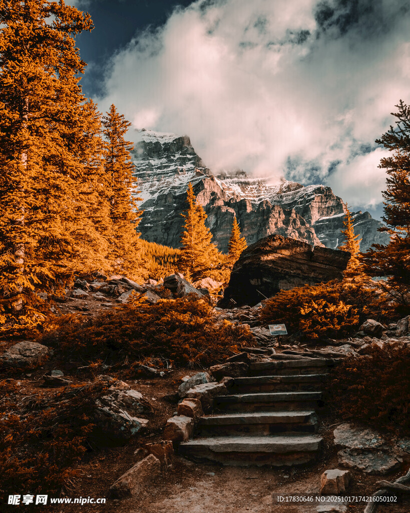 秋日山林中的石阶美景