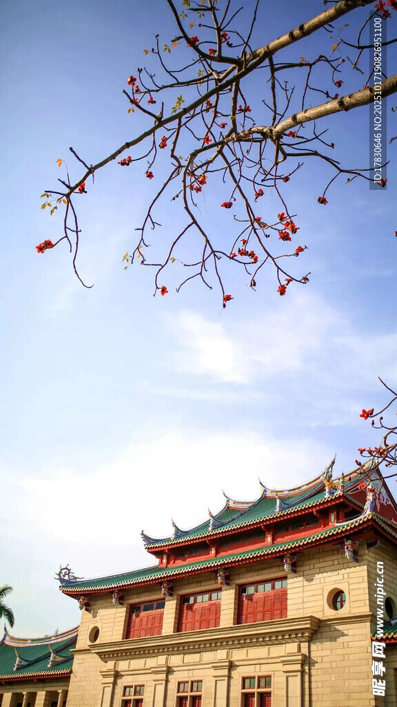 枝头红棉映中式古建筑