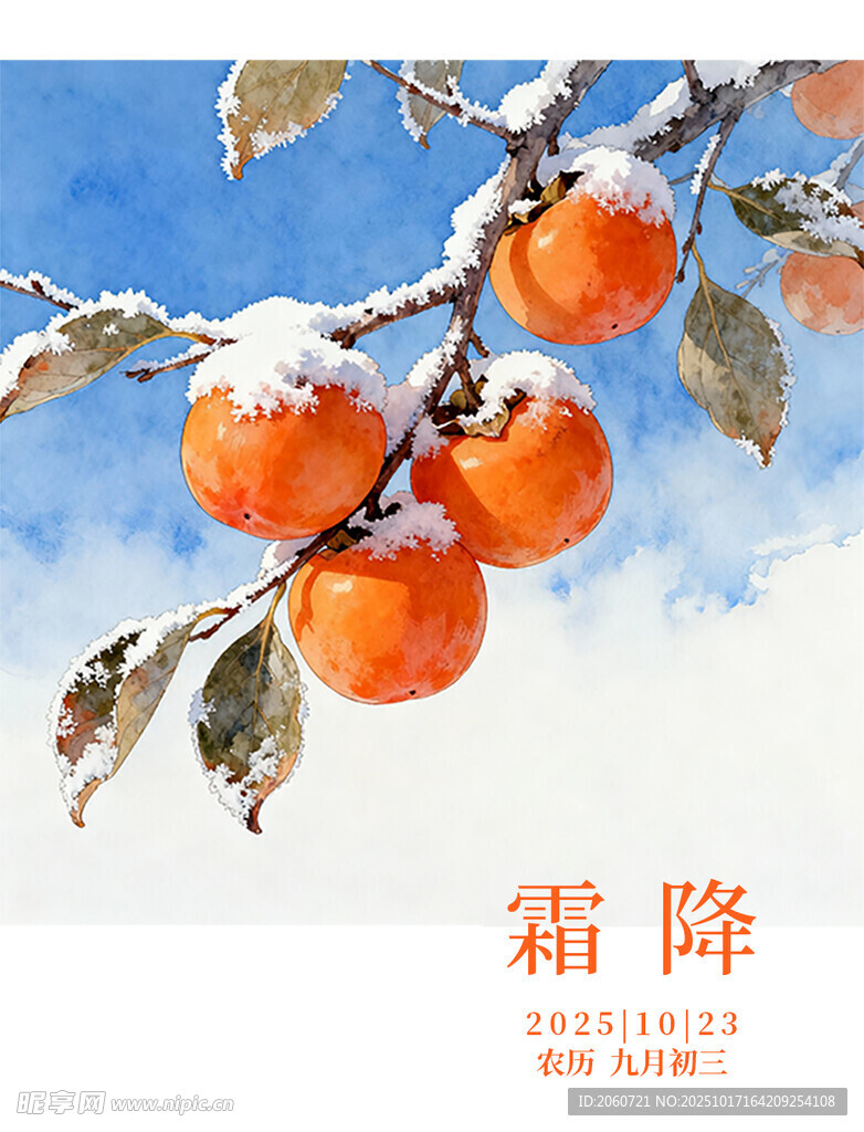 霜雪覆柿图