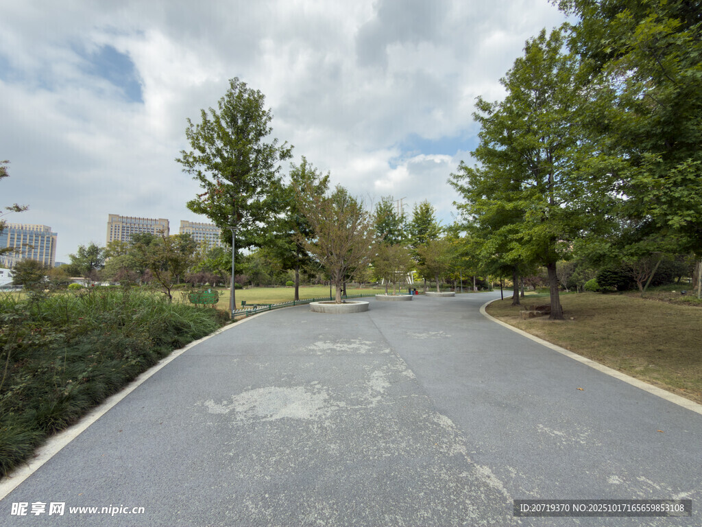 宽阔林间柏油道路景观