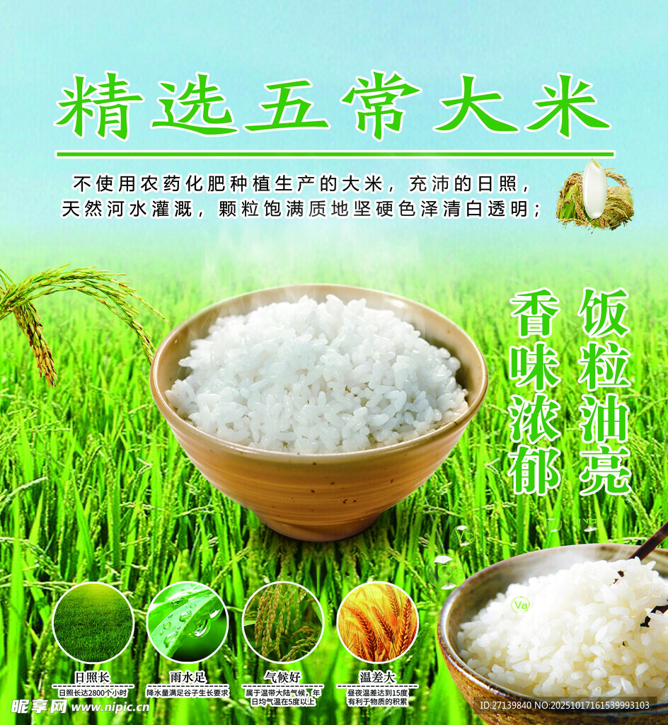 精选五常大米  品质卓越