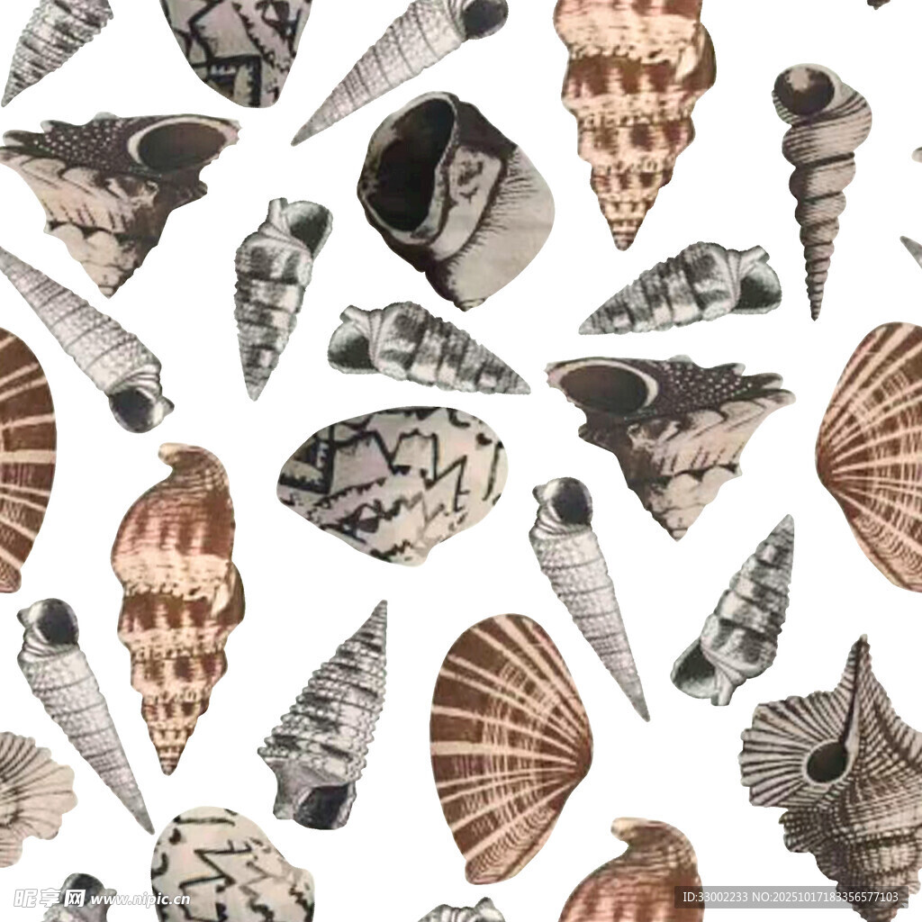 贝壳图案 多样海洋元素集合