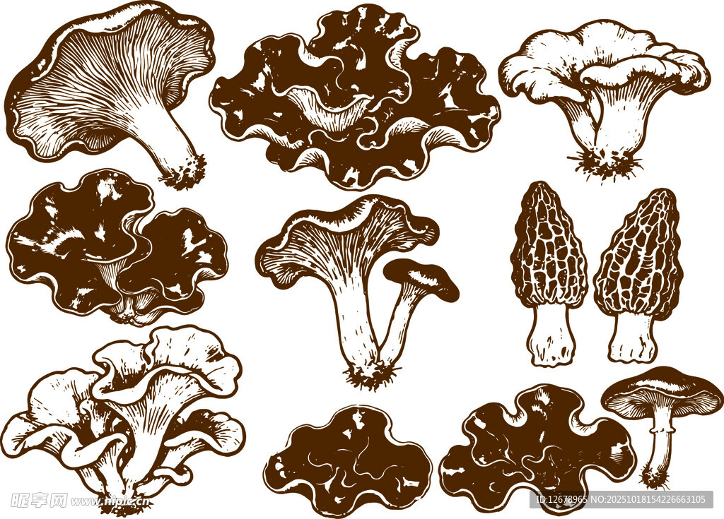 手绘蘑菇集合