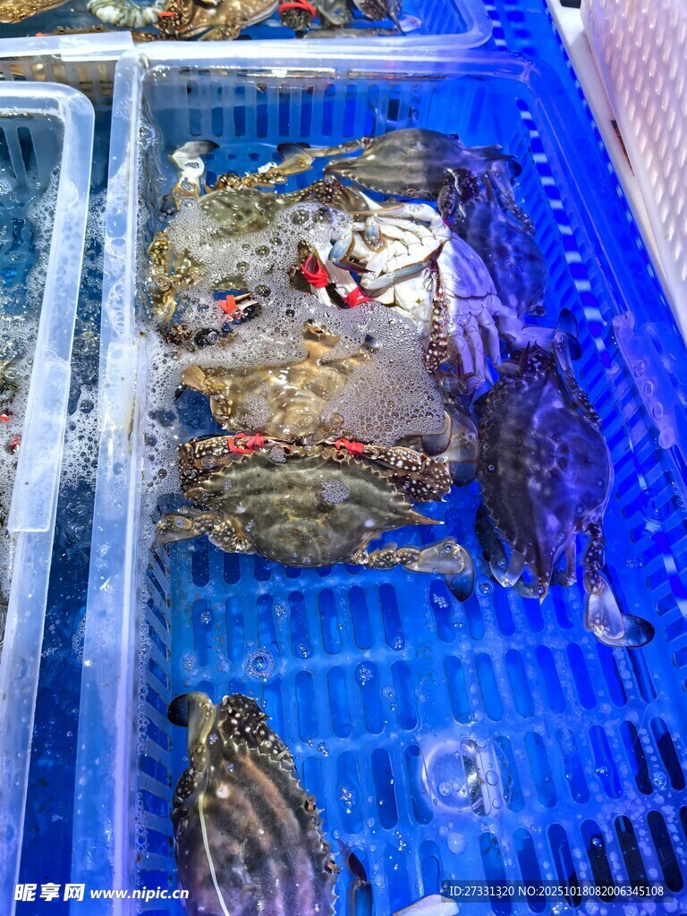 蓝色容器中的海鲜陈列