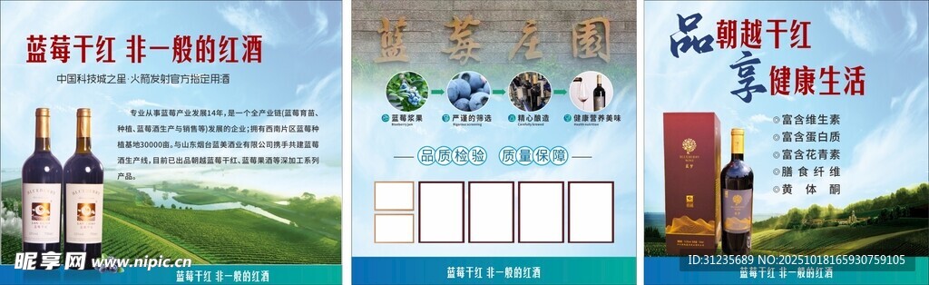 葡萄酒宣传页设计展示