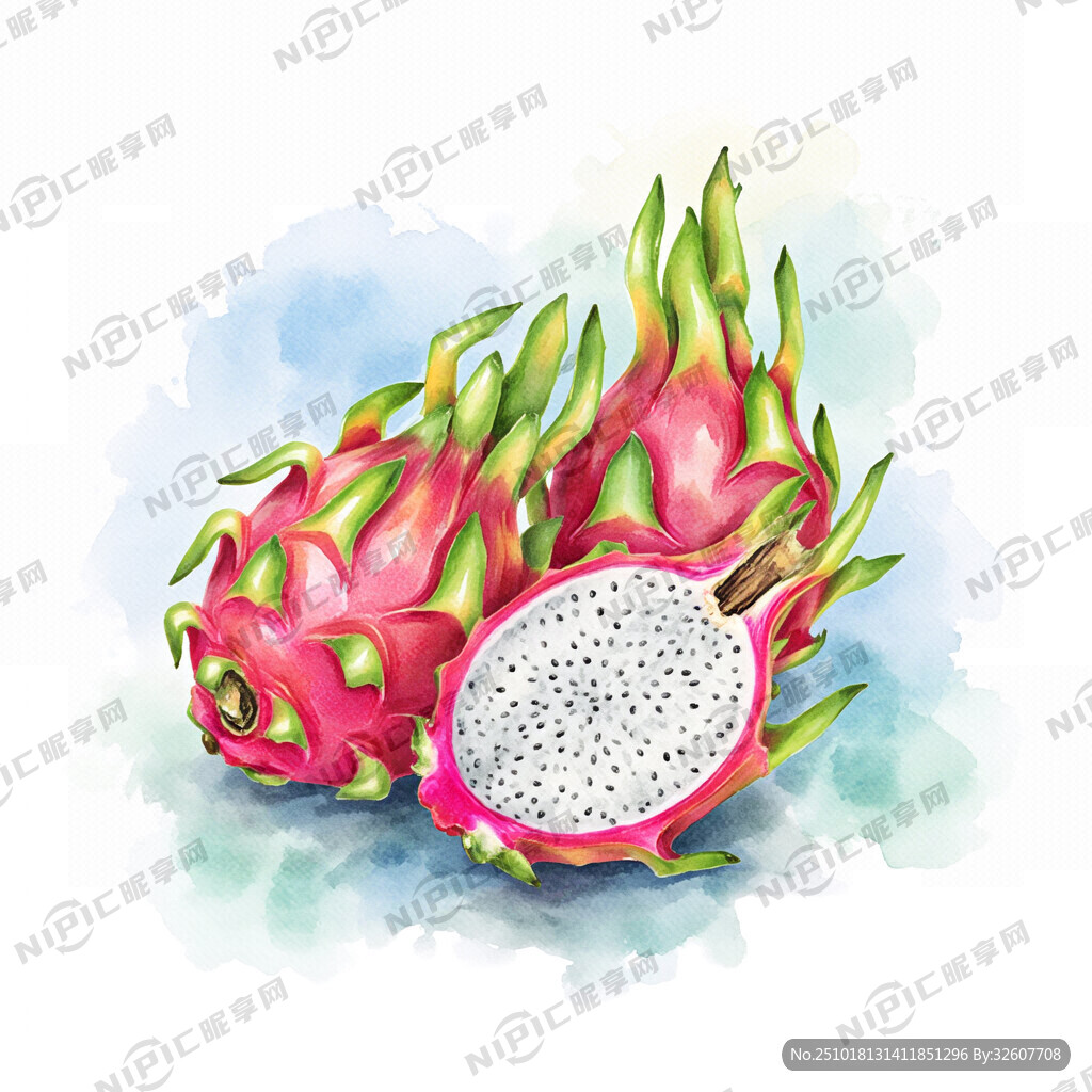 白色背景 摆放着2个火龙果