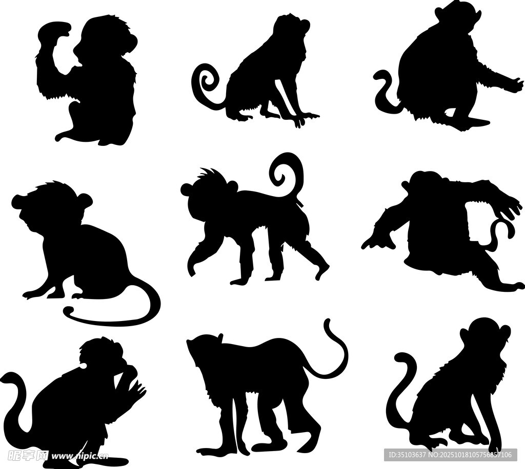 多样猴子剪影图案