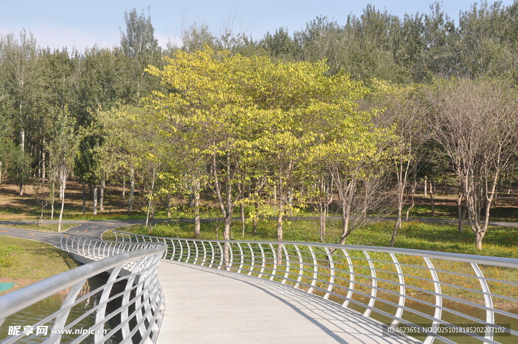北京朝阳坝河景观林间漫步道