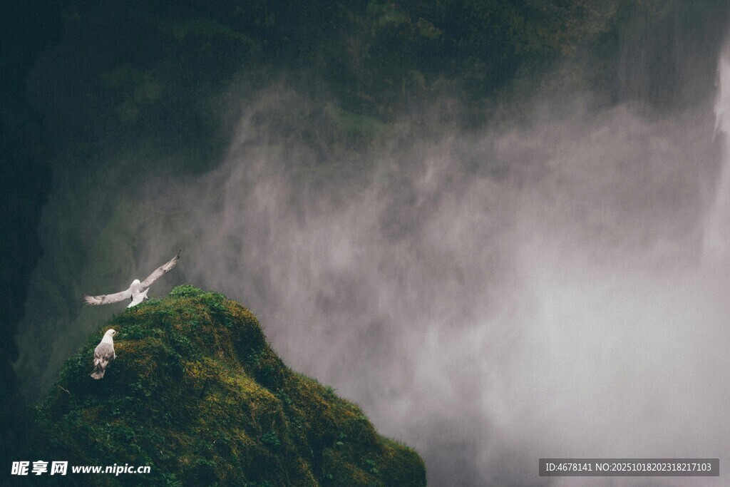 悬崖飞鸟云雾间的景致