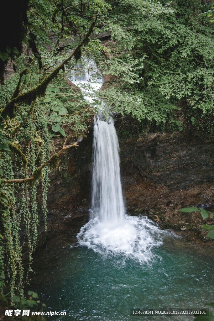 森林中的美丽瀑布景观
