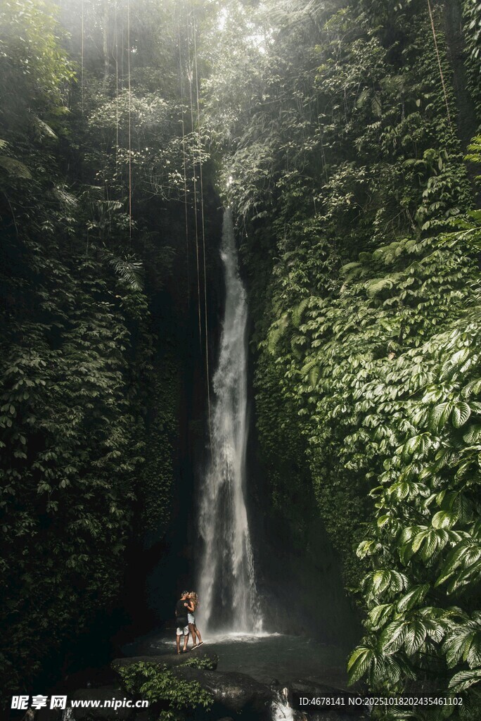 雨林中的壮丽瀑布景观