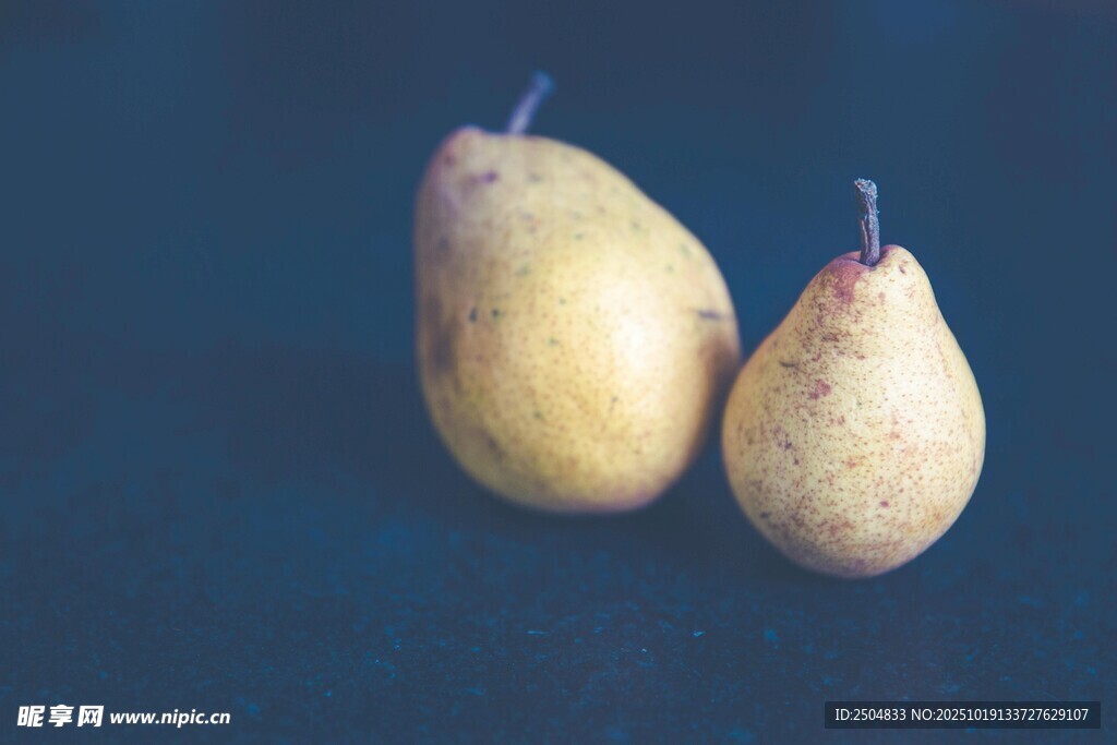 两个黄梨置于深蓝背景