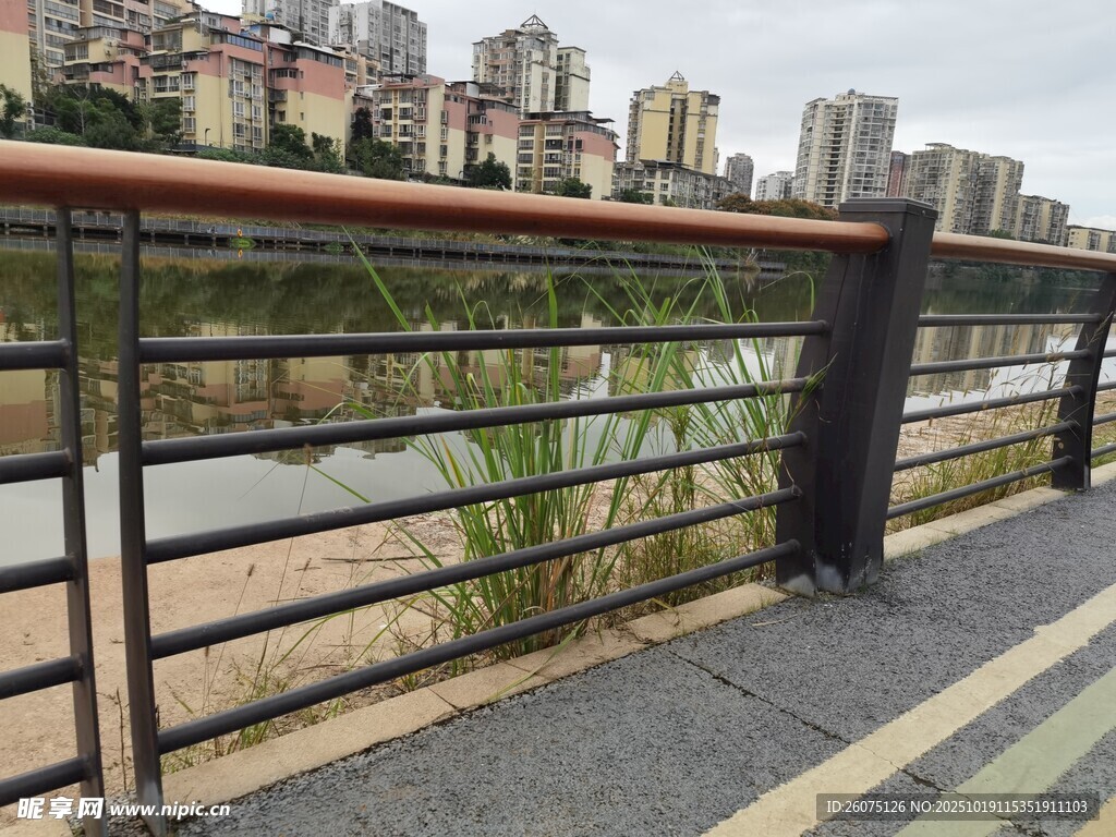城市河畔护栏边的景致