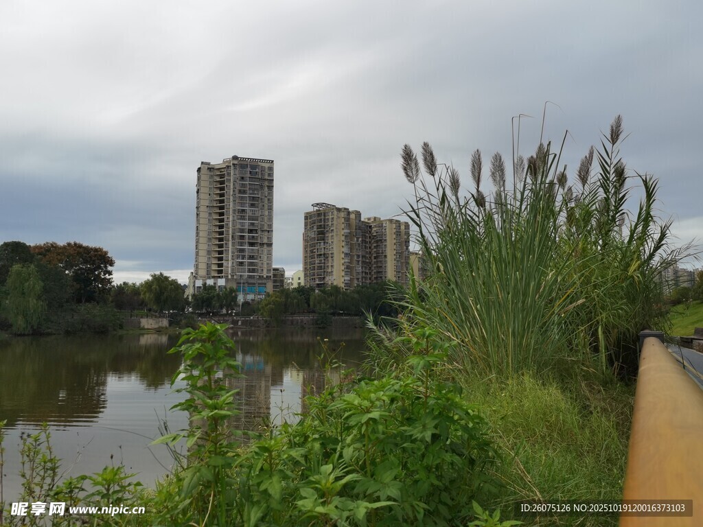 河畔高楼与绿植景致