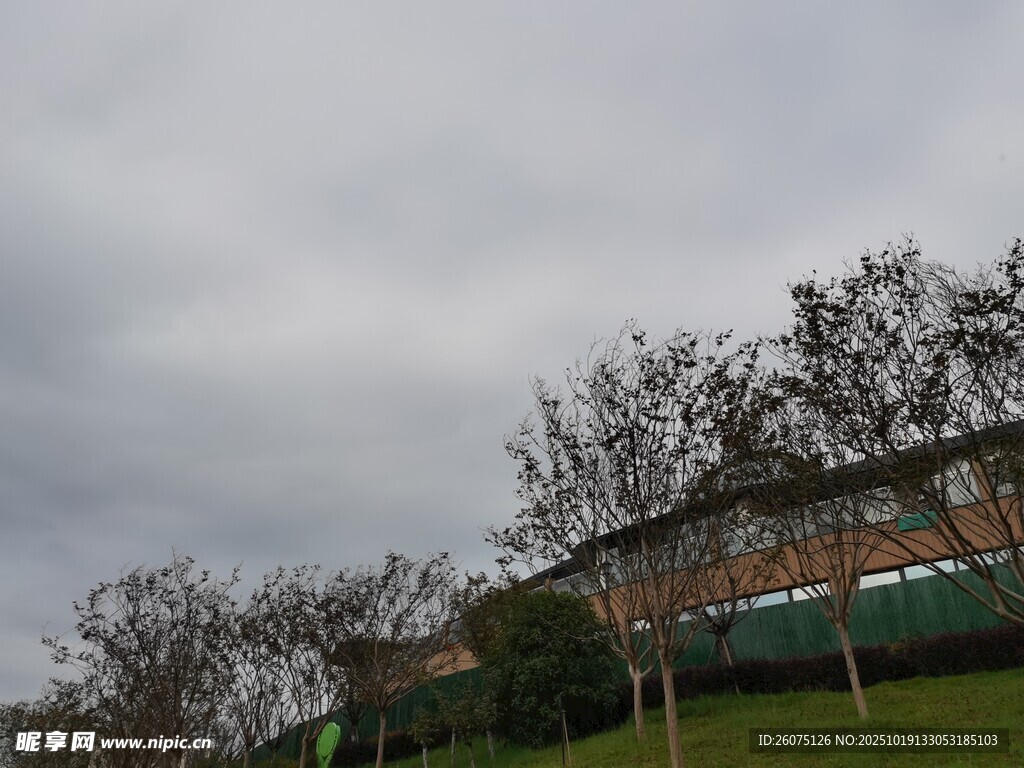 阴天中的建筑与绿植景观