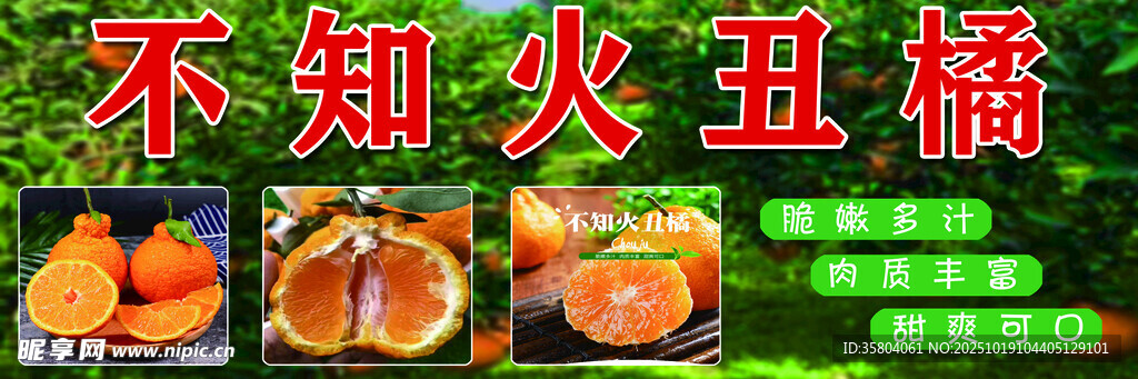 不知火丑橘展示