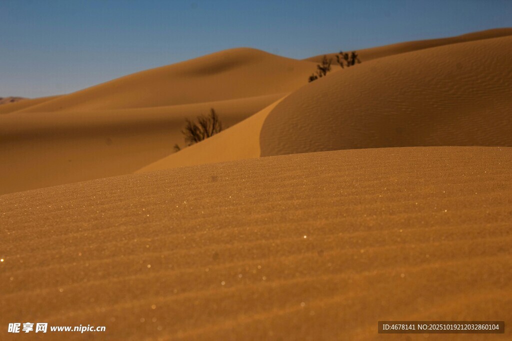 沙漠徒步者的壮丽征程