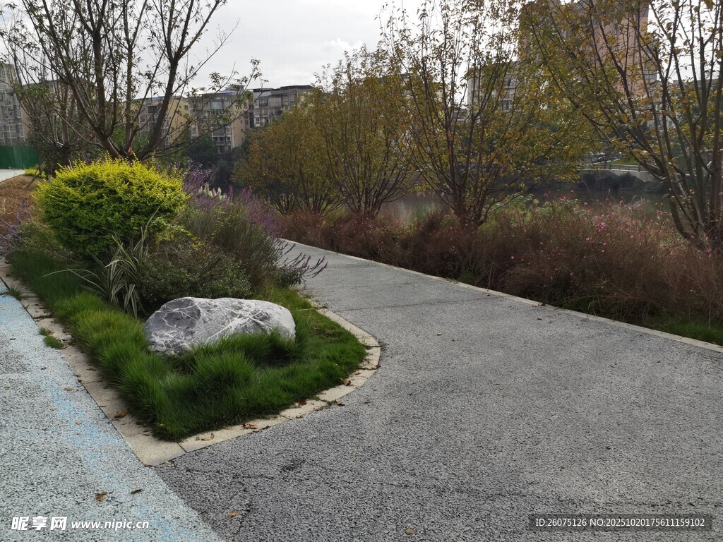 园林小径旁的绿植与山石