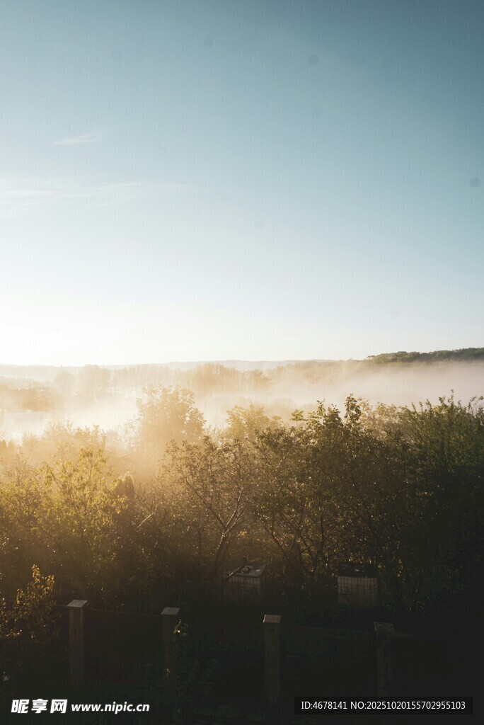 晨雾中的田野美景