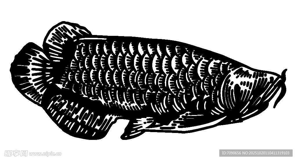 手绘黑纹龙鱼图案