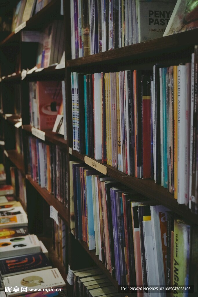 书架间的静谧阅读角落