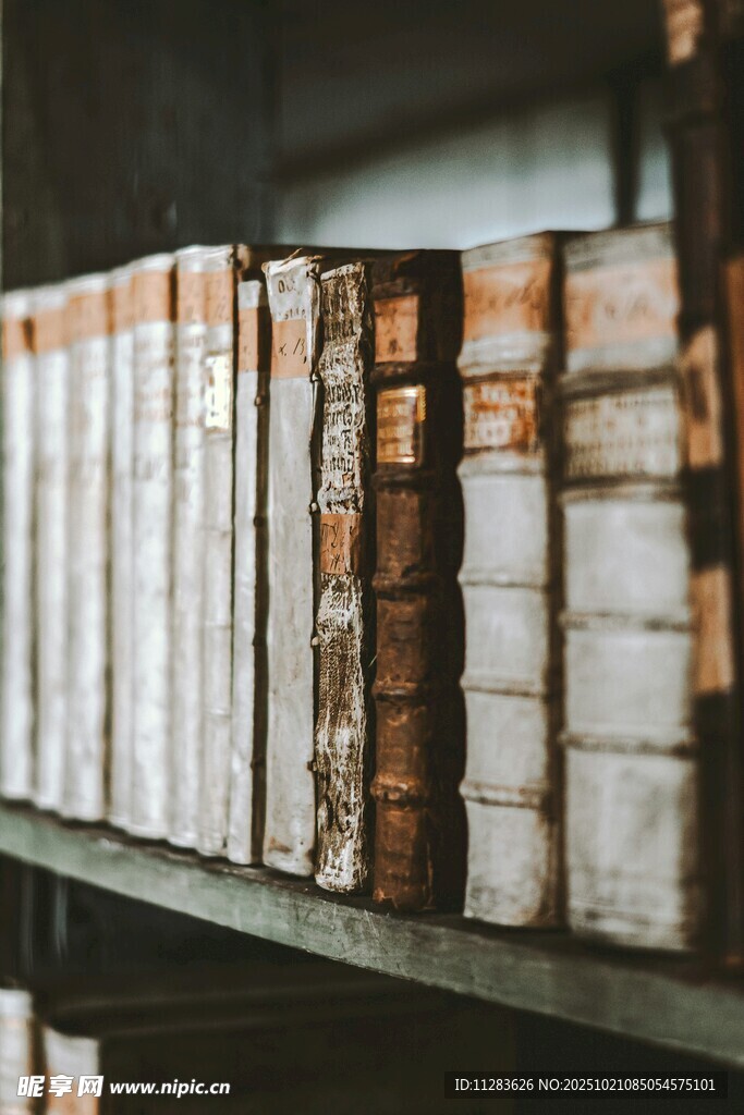 书架上的旧书籍